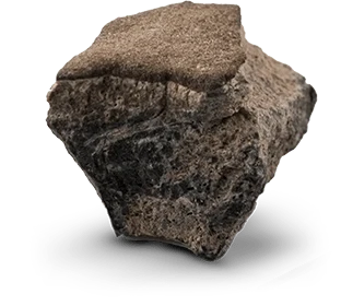 The T-Rex - Image 6