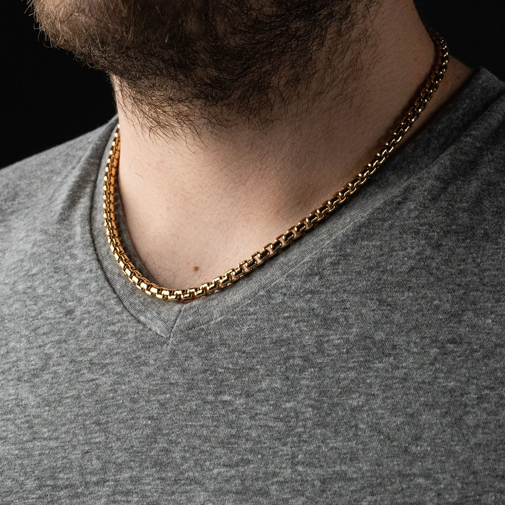 The Vanguard Chain - Image 3